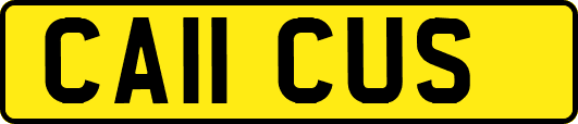 CA11CUS