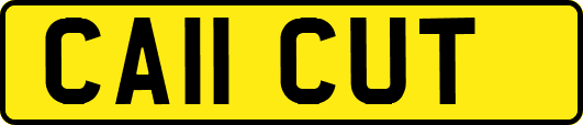 CA11CUT