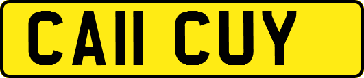 CA11CUY