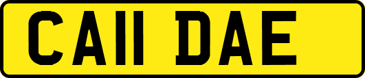CA11DAE