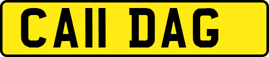 CA11DAG