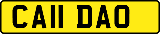 CA11DAO