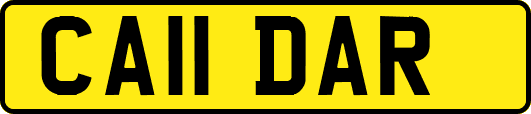 CA11DAR