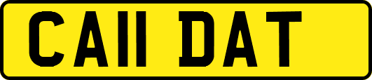 CA11DAT