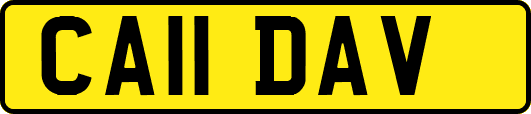 CA11DAV