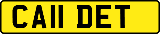 CA11DET