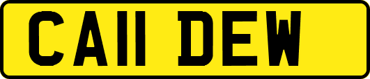 CA11DEW