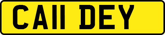 CA11DEY