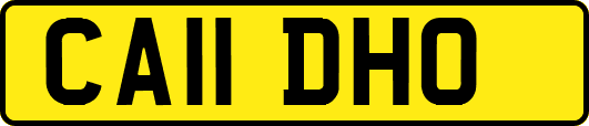 CA11DHO