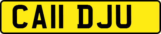 CA11DJU