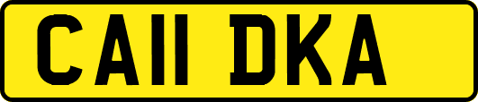 CA11DKA