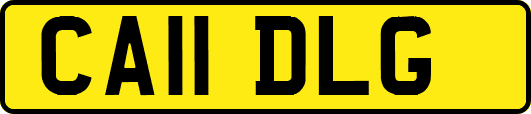 CA11DLG