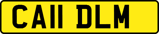 CA11DLM