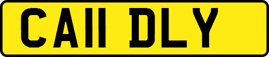 CA11DLY