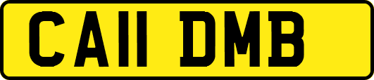 CA11DMB