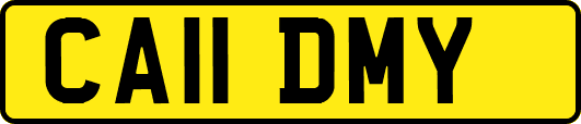 CA11DMY