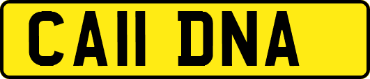 CA11DNA