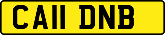 CA11DNB