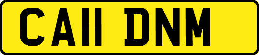 CA11DNM