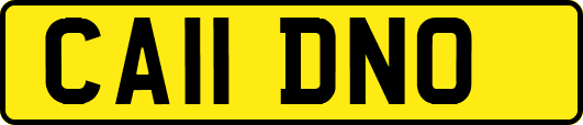CA11DNO