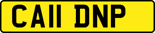 CA11DNP