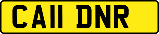 CA11DNR