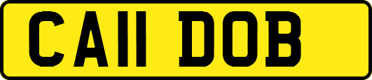 CA11DOB