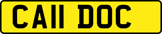 CA11DOC