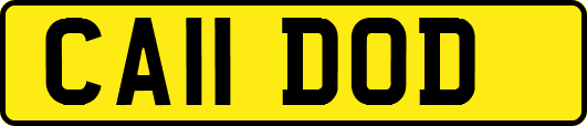 CA11DOD