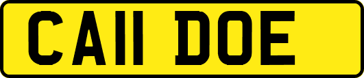 CA11DOE
