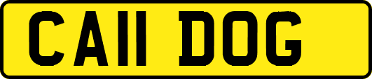 CA11DOG