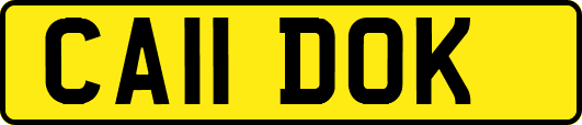 CA11DOK