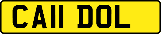 CA11DOL