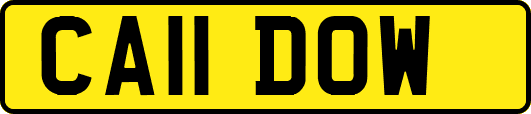 CA11DOW