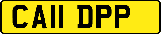 CA11DPP