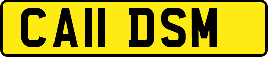 CA11DSM