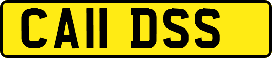 CA11DSS
