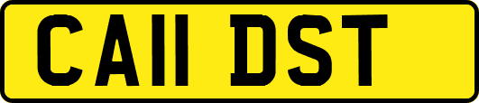 CA11DST