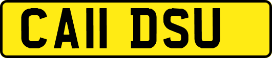 CA11DSU