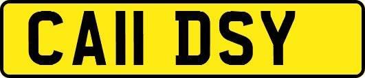 CA11DSY