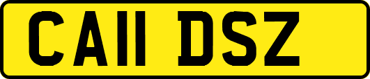 CA11DSZ