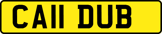 CA11DUB
