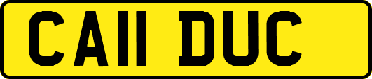 CA11DUC
