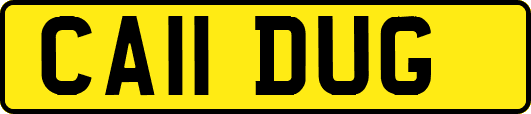 CA11DUG