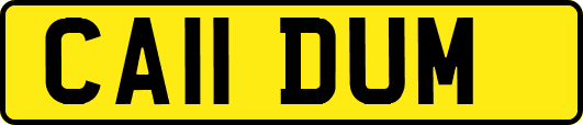 CA11DUM