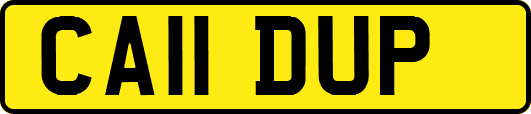 CA11DUP