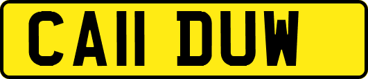CA11DUW