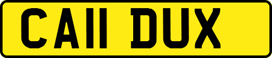CA11DUX