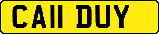 CA11DUY