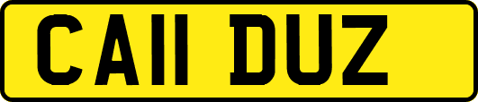CA11DUZ